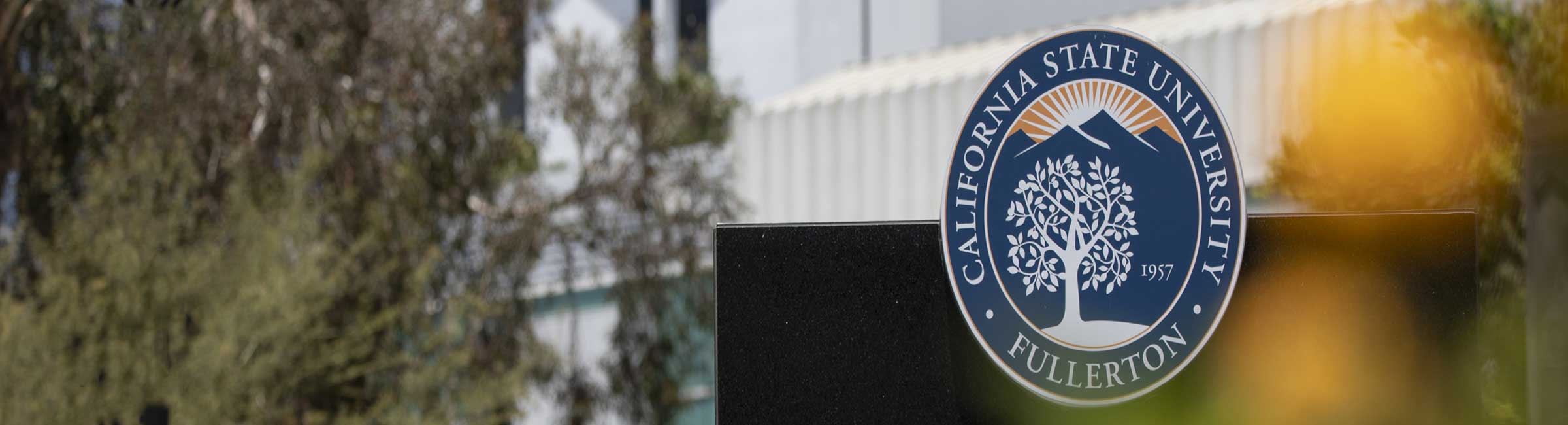 Page banner, decorative page element