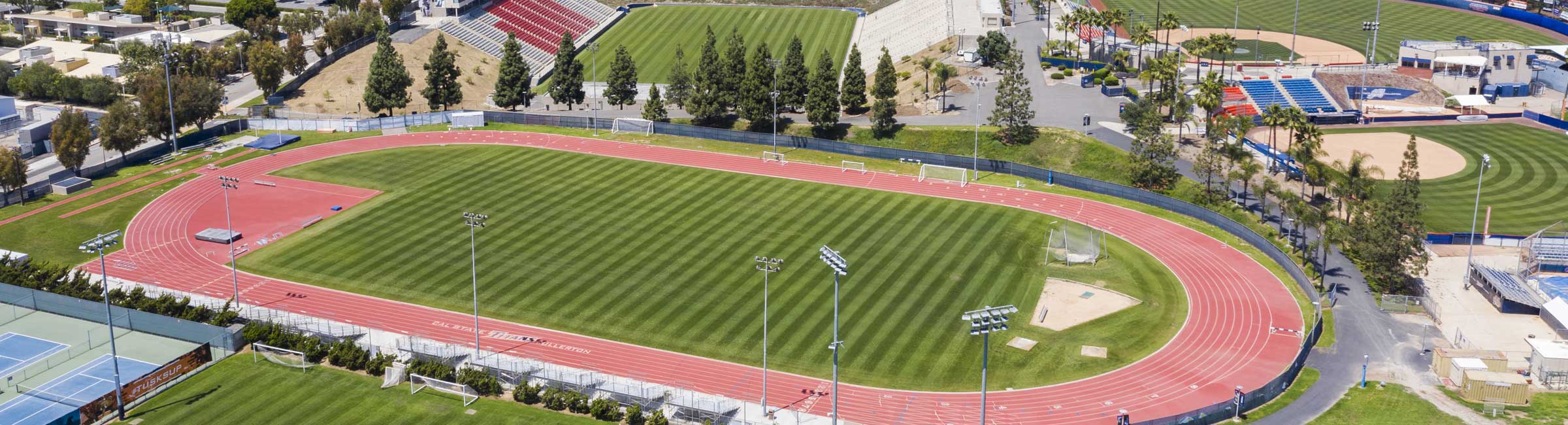 Page banner, decorative page element